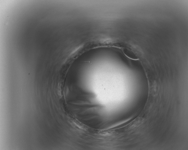 X0000066961205200604071955