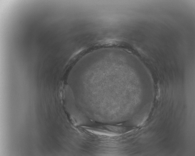 X0000066961206200604071955