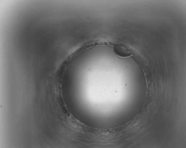 X0000066961207200604071955