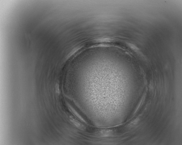 X0000066961209200604071955