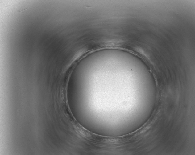 X0000066961211200604071955