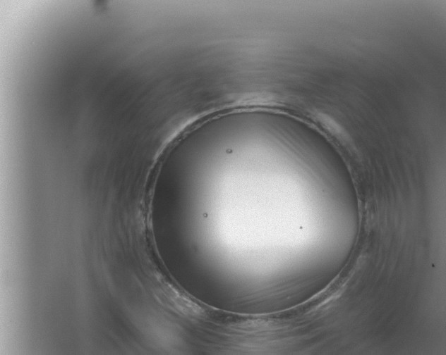 X0000066961212200604071955