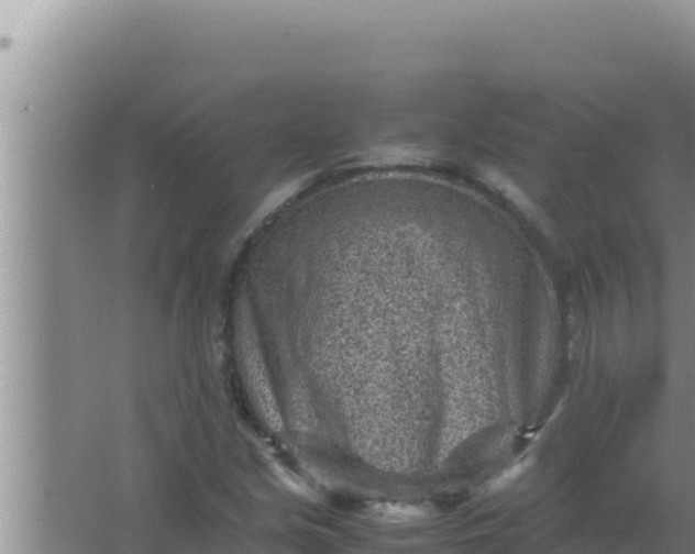 X0000066961213200604071955