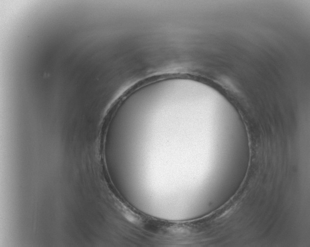 X0000066961216200604071955