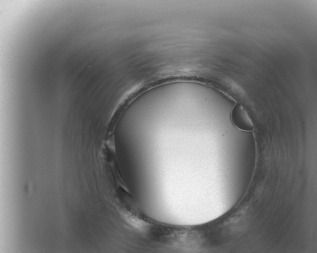 X0000066961218200604071956