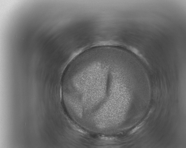 X0000066961221200604071956