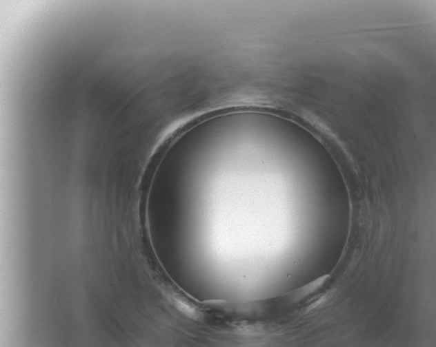 X0000066961222200604071956