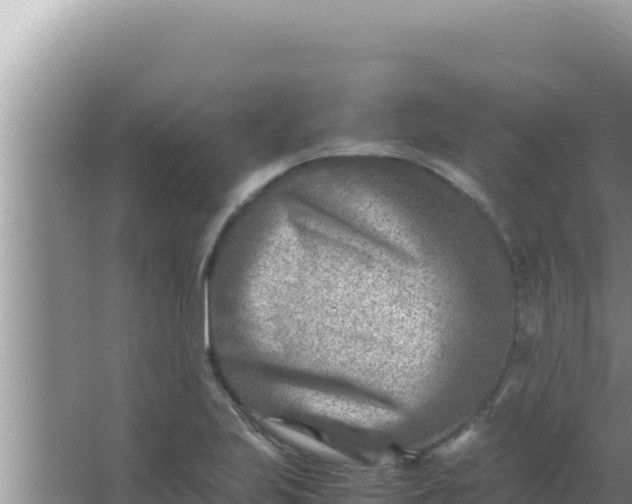 X0000066961223200604071956