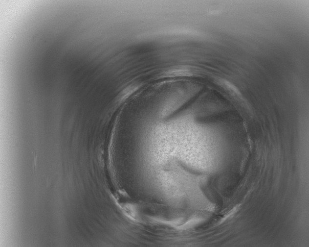 X0000066961225200604071956