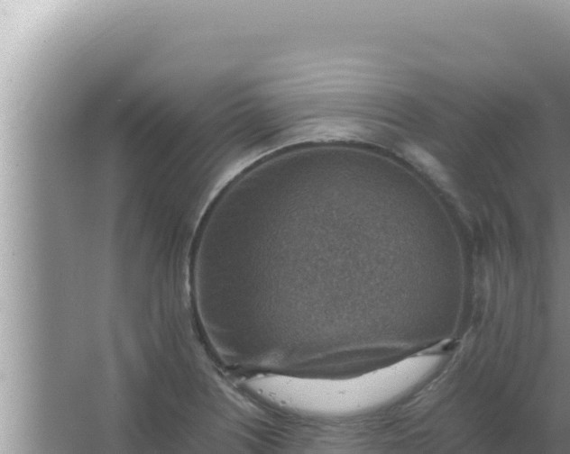 X0000066961226200604071956