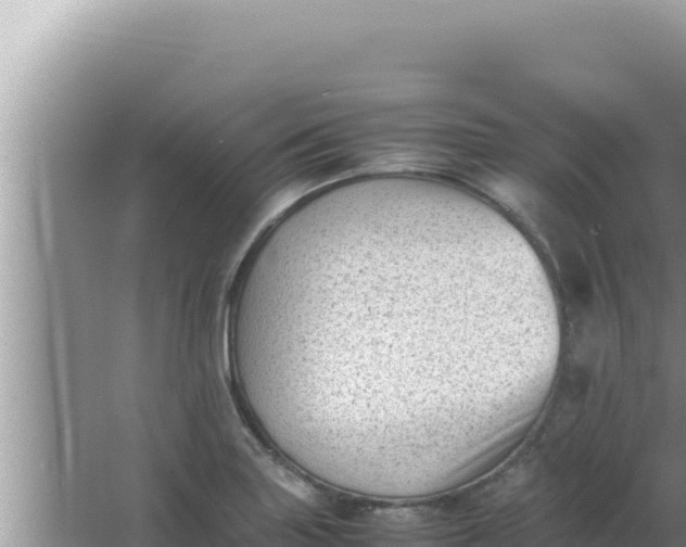 X0000066961227200604071956