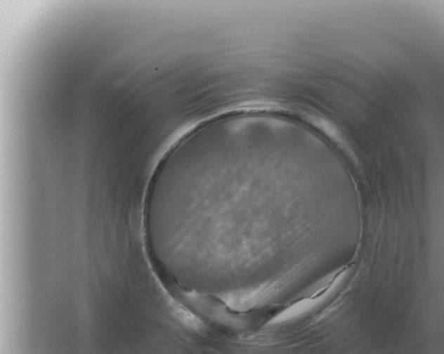 X0000066961229200604071956