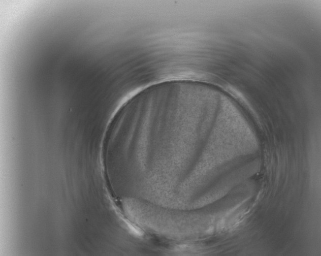 X0000066961230200604071956