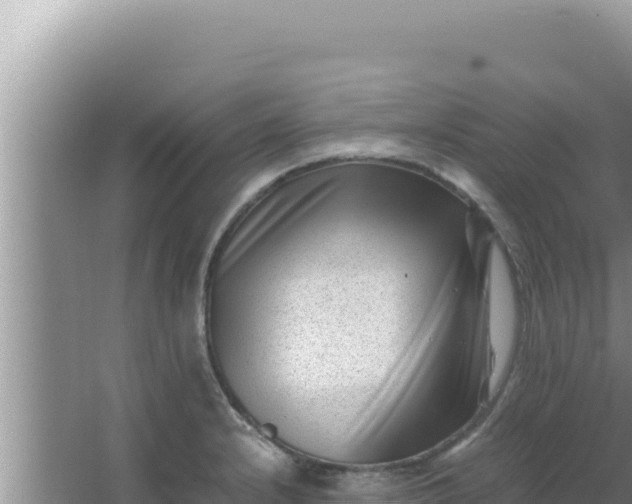 X0000066961232200604071956