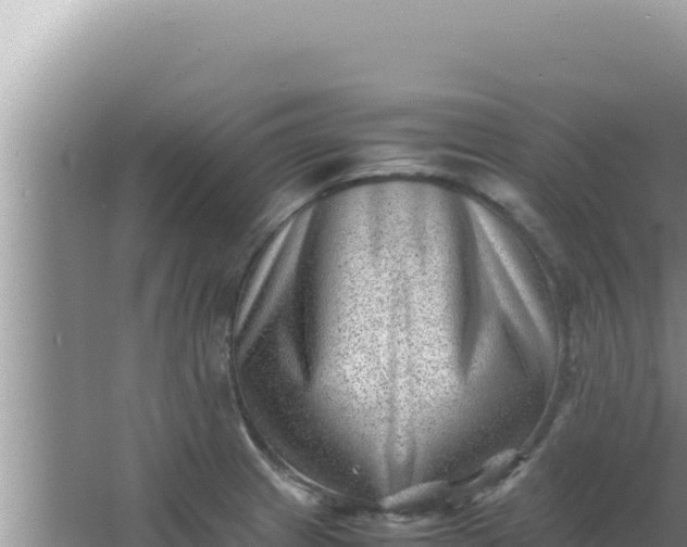 X0000066961233200604071956