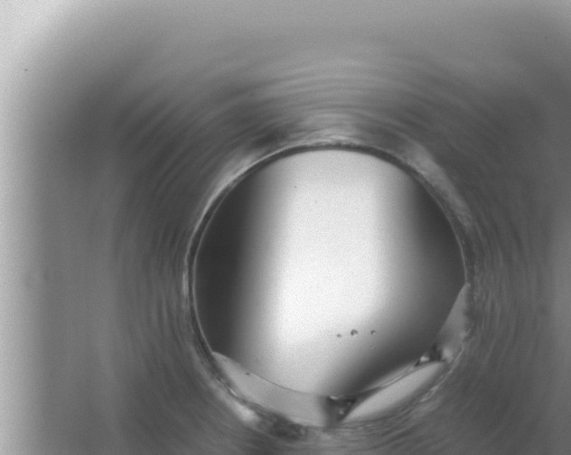 X0000066961234200604071956