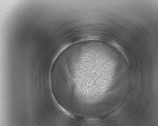 X0000066961235200604071956