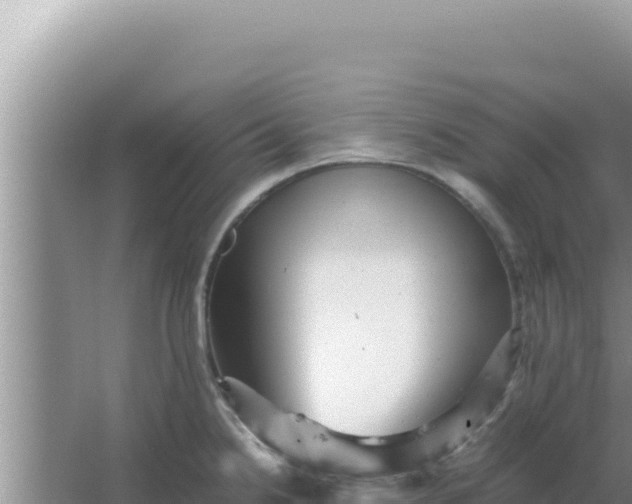 X0000066961238200604071956