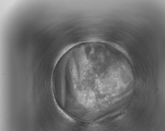 X0000066961239200604071956