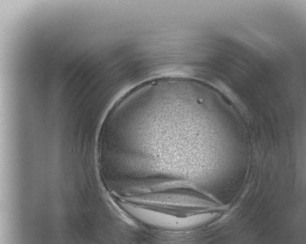 X0000066961240200604071956