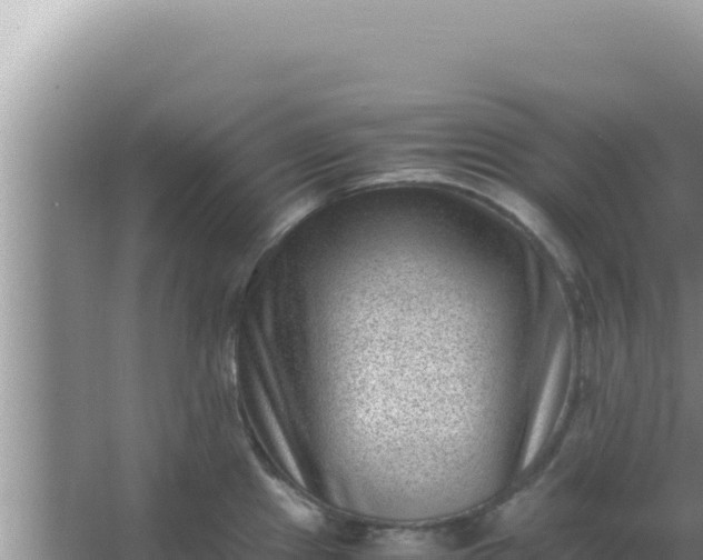 X0000066961241200604071956