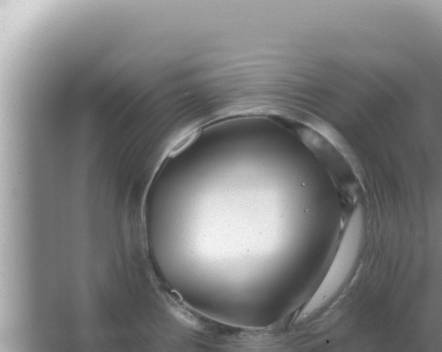 X0000066961242200604071956