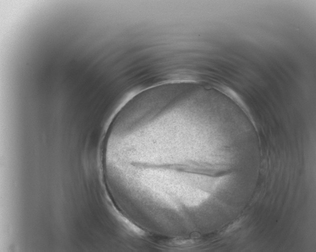 X0000066961243200604071956