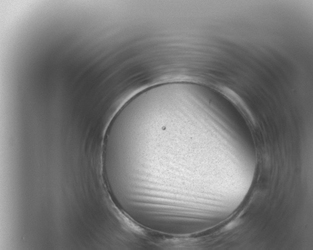 X0000066961244200604071956