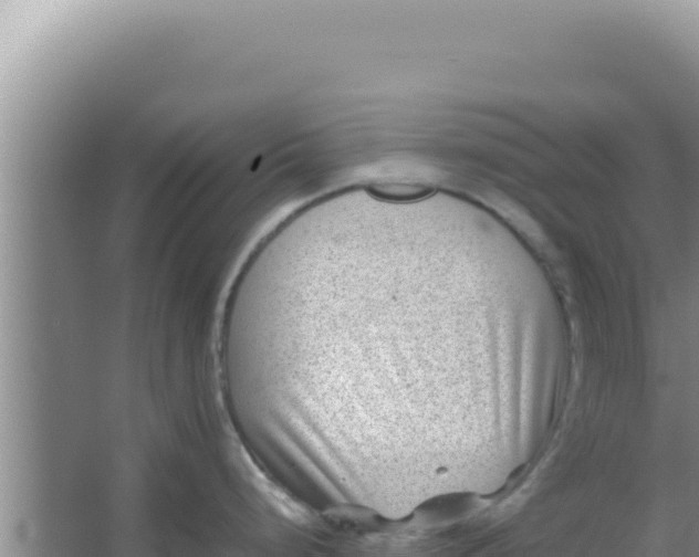 X0000066961248200604071956