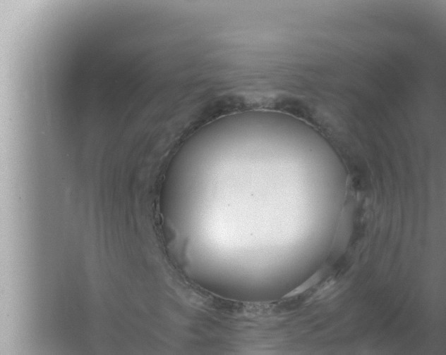 X0000066961249200604071955