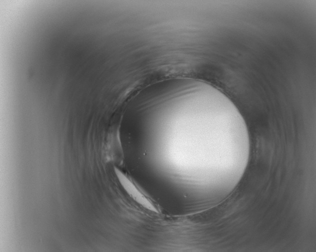 X0000066961250200604071955