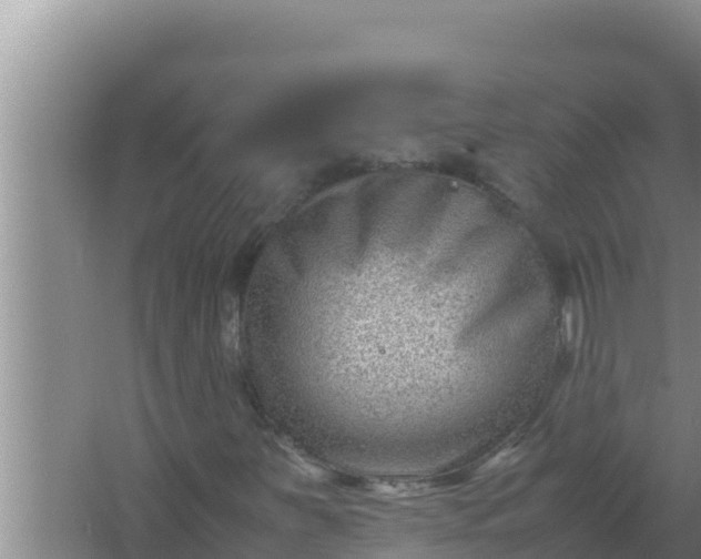 X0000066961251200604071955