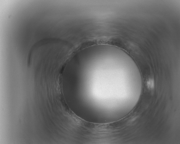 X0000066961252200604071955