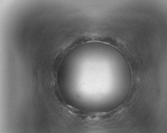 X0000066961253200604071955