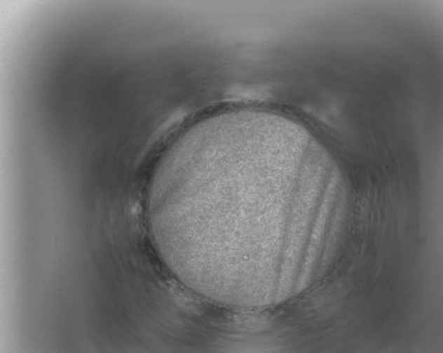 X0000066961254200604071955