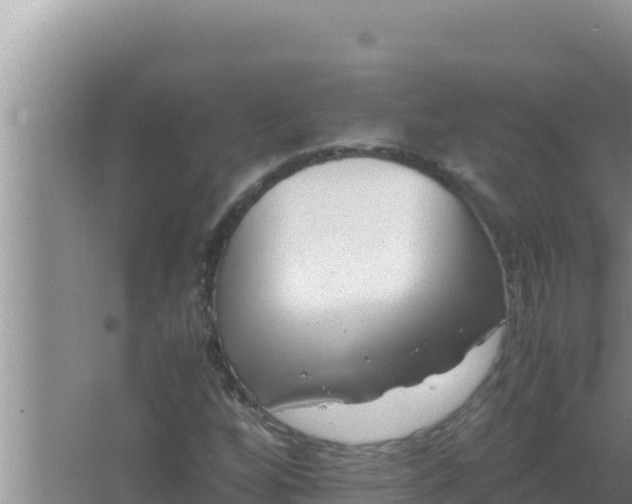 X0000066961256200604071955