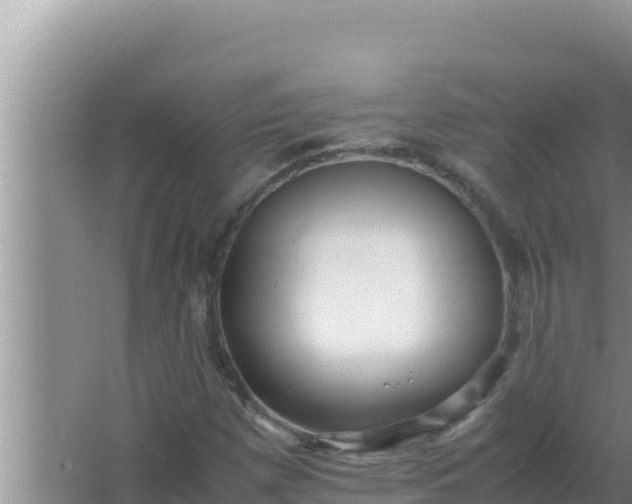 X0000066961257200604071955