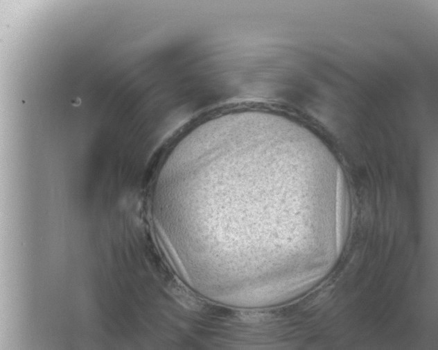 X0000066961258200604071955