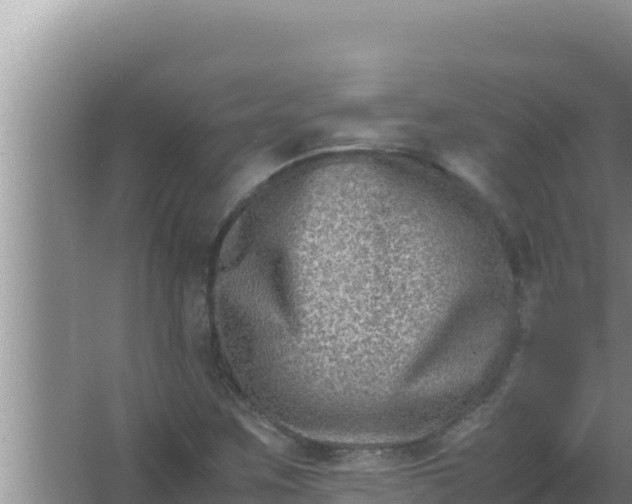 X0000066961259200604071955