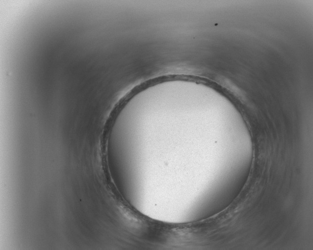 X0000066961264200604071955