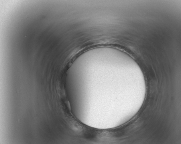 X0000066961265200604071955