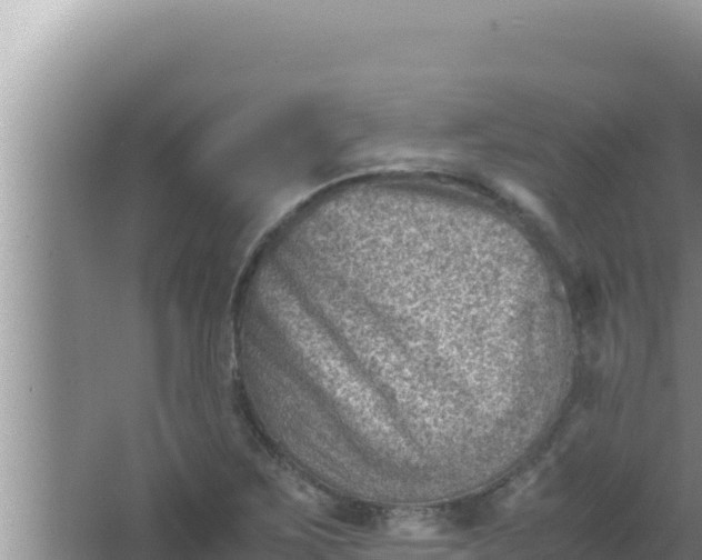 X0000066961267200604071955