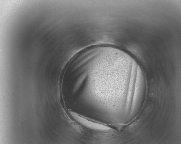 X0000066961268200604071955