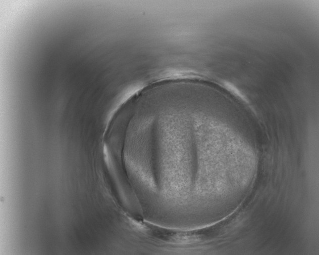 X0000066961269200604071955