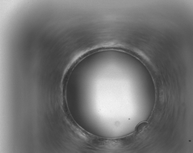 X0000066961270200604071955