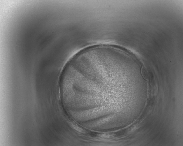 X0000066961271200604071955