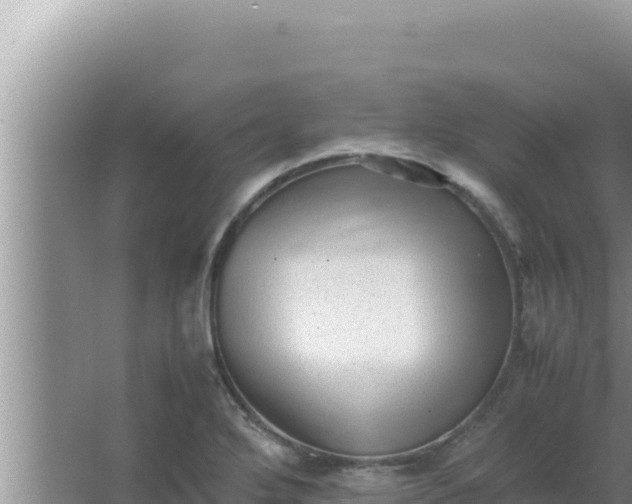 X0000066961272200604071955