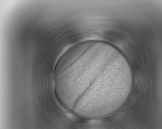 X0000066961274200604071955