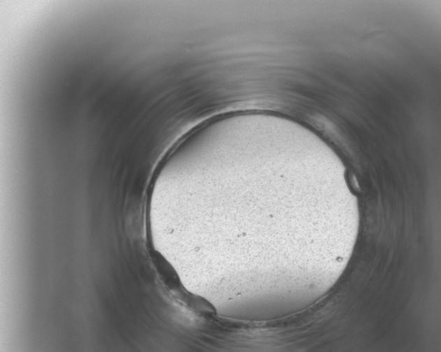 X0000066961276200604071955