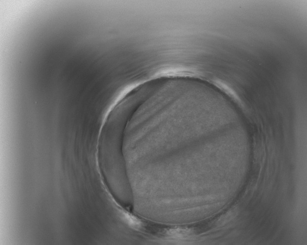 X0000066961277200604071955